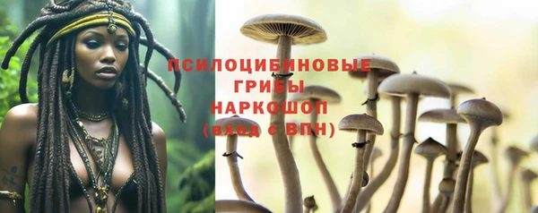 2c-b Новозыбков