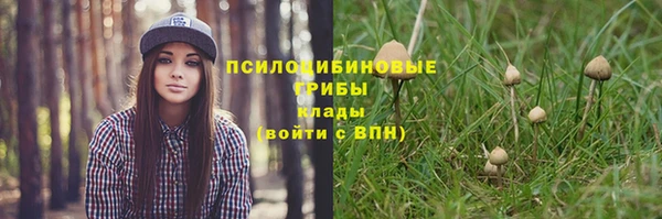 2c-b Новозыбков