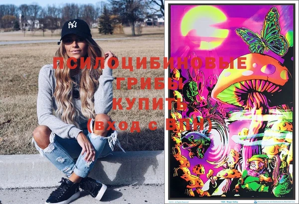 герыч Новокубанск