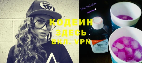2c-b Новозыбков
